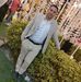 Ahmed Zaky - Facebook