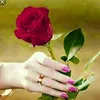 ahmer riaz - @anyia143 - TikTok