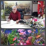 Ahmet Ege - @ahmetege03 - Instagram
