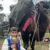 ahmet ege - @ahmet.ege40 - TikTok