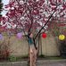 Ai Luong - Facebook