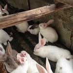 Ai Luong - @ai.luong.1806 - Instagram