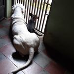 aida de alonzo - @aidadealonzo - Instagram
