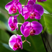 Aida Gadiane Alonzo - Facebook