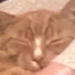 Aidan_Ballard - @aidan_ballard - Instagram