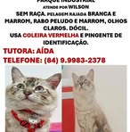 Aída Cerqueira - Facebook