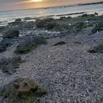 Aidã Rodrigues Cerqueira - @aidarodrigues2024 - Instagram