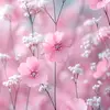Aida Chang - @aida.chang2 - TikTok