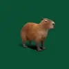 Aidan_duh - @aidan.chang3 - TikTok