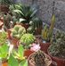 Aida Chapa - Facebook
