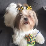 aida chaves Andrade - @aidachavesandrade - Instagram