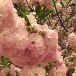 Aida Cheng Sy - @aidachengsy - Instagram