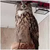 aidachianello487 - @aidachianello487 - TikTok