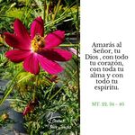Aida Claudio - @aidaclaudio6 - Instagram