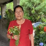 Aida Clemente - @aidaclemente766 - Instagram