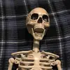 aidancollier98 - @jared_the_skeleton - TikTok
