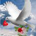 Aida Comas - Facebook
