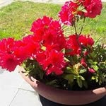 aída comas urrutia - @comasurrutia - Instagram