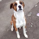Dita Comas Urrutia - @aidacomasurrutia1234 - Instagram