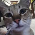 Aida Concepcion - Facebook