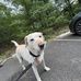Aidan Conti - Facebook