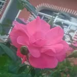 Lesly aida Cornejo chavez - @chavezaida177 - Instagram