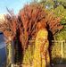 Aida Costa - Facebook