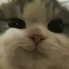 aidan - @aidan.cox - TikTok