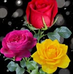 Aida Crespo Vallejos - Facebook