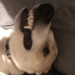 AidanCrowley - @mr.crowley33 - Instagram