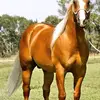 Aida Cuevas - @aida.cuevas49 - TikTok
