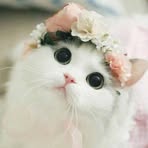 Aida Dali - Facebook