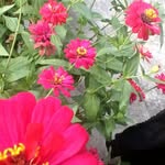 dalila - @aida.dalila - Instagram