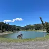 quack - @aidandea.n - TikTok