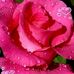 Aida Deleon - Facebook