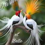 Aïda diack - @diack5874 - Instagram
