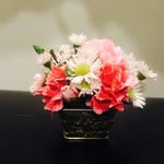 Aida Del Carmen Sánchez Douglas - @floraldouglas - Instagram