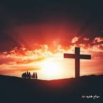 Aida Ghaly - @ghalyaida - Instagram