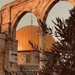 Aida Ghalyoun - @aidaghalyoun - Instagram