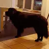 Aida Giorgio - @aidagiorgio67 - TikTok