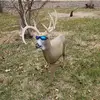 Aidan Henry - @aidan.henry94 - TikTok