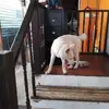 Aida - @aidahernandez971 - TikTok