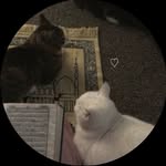 Aida Issa - @aida_issa_ - Instagram