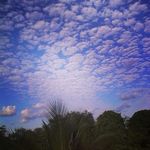Fly to the sky... - @aida_jackson_and_fam - Instagram