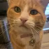 Aida Kraja - @aidakraja - TikTok