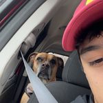 Aidan Lane - @aidanjlane - Instagram