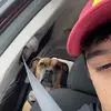 Aidan Lane - @aidanjlane23 - TikTok