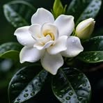 Aida Martinez - Facebook