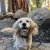 Aida Murillo - @aidamurillo01 - TikTok