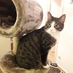 Aida Music - @music.aida - Instagram
